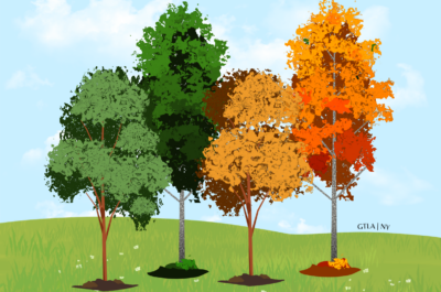 You Had All Summer to Rest: So Why Are You Already Burned Out?